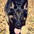 Tracey Stansbury's profile image