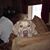 Tammy Shick's profile image