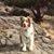 Taya Mosshammer Bass's profile image