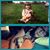 Rachael Marie Coovert's profile image