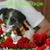 Debby Wilson's profile image