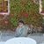 Ginny Stoehr's profile image