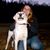 Amanda Eggleton's profile image