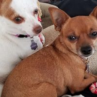 Kathy Storlie's profile image