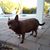 Tim Gingras's profile image