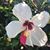 Jennifer Erskine's profile image
