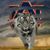Howard Foye Yeager Jr's profile image