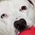 Cat Leger's profile image