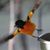 Randy Van Hoof's profile image