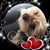 Carolyn Schueth's profile image