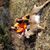 Brian Burkart's profile image
