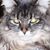 Tina Smith's profile image