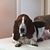 Kelly Parkes's profile image