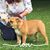 Carrie VanBuskirk's profile image