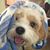 Melinda Collins Rucker's profile image