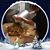 Barb Weatherly's profile image
