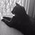 Barbara Fleming Phillips's profile image