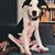 Michael Holloway's profile image