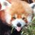 Mindy Blunk Barbre's profile image