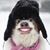 Tenika Winters's profile image