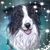Kathy Ackerman's profile image
