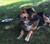 Donna K.'s profile image