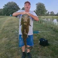 Steve Fortner's profile image