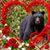 Mary Miles's profile image