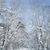 Kathy Erickson Townsend's profile image