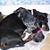 Connie Eicher's profile image