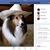 Robert Cox's profile image
