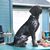 Stumble Creek Kennels's profile image