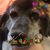 Barbara Ann Solmonte-Christie's profile image