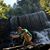 Jose Tavares's profile image