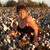Cindy Lou Porter's profile image