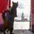 Sara Sorrels Sythoff's profile image
