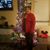 Elda Alfaro's profile image