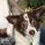 Nadia Sammartino Sims's profile image