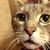 Jaxx Giovanni DeLuca Brown's profile image