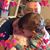Sharon Tomlinson's profile image