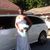 Miracle Hopkins's profile image