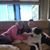 Roxanne Batastini-Beaver's profile image