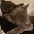 Johannah Jody Caley's profile image