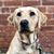Darcy Harbaugh's profile image