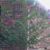 Darlene Hampsten LeMar's profile image