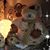 Kathy Muncy Darkes's profile image