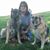 Traci Hillman's profile image