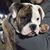 Angela Schroeder Russo's profile image