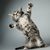 Rena C. Dillman's profile image