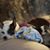 Kim Dennison's profile image